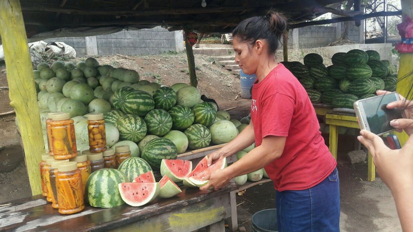 sandia